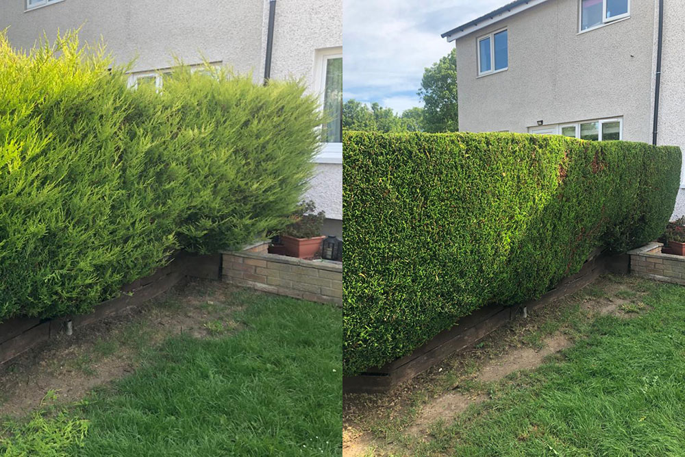 Garden tidy-up after Urban Leaf Gardens work
