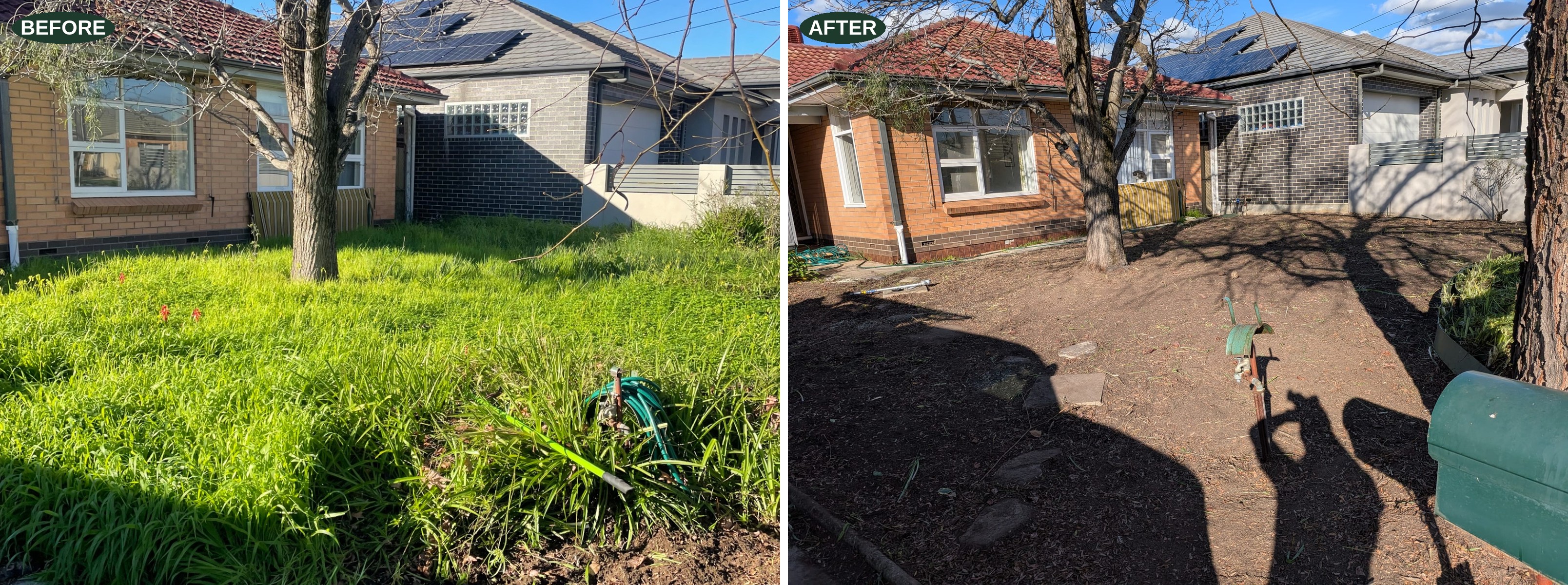 Before and after: overgrown front lawn cleared, weeded and tidied in Adelaide