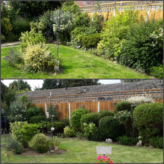 Before and after: Garden bed & shrub tidy in Gawler, SA