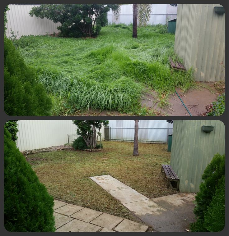 Before and after: Overgrown yard clean-up in Salisbury, SA