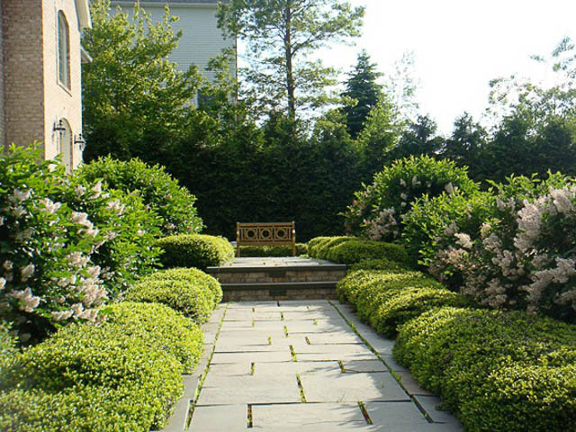 Formal clipped hedges and shaped shrubs lining a paved garden pathway