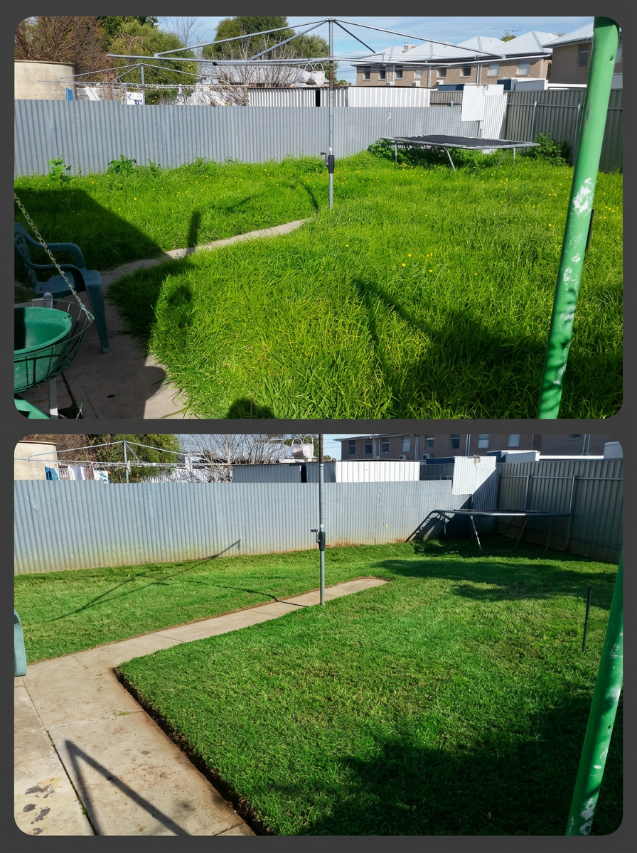 Before and after: Backyard lawn revival in Elizabeth, SA