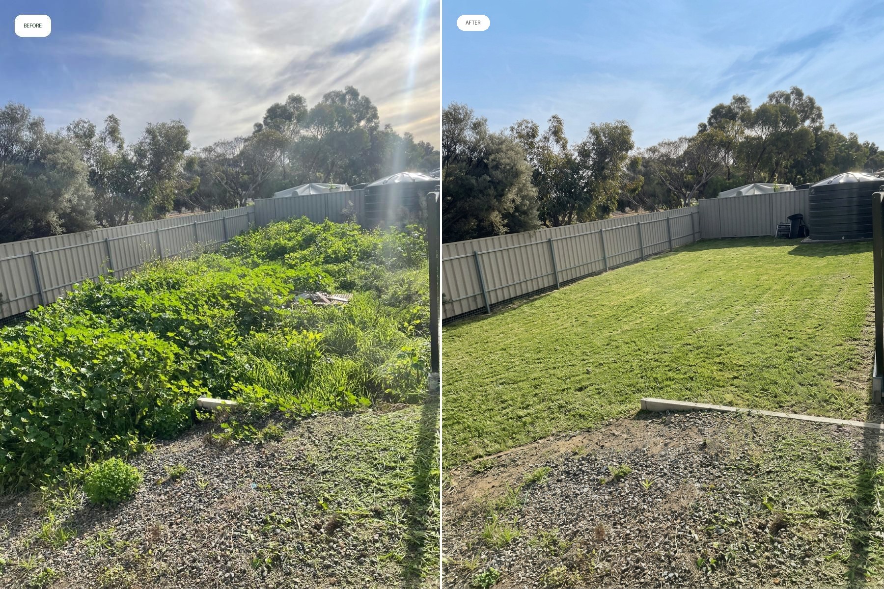 Before and after: Overgrown weed clearing & lawn restoration in Munno Para, SA