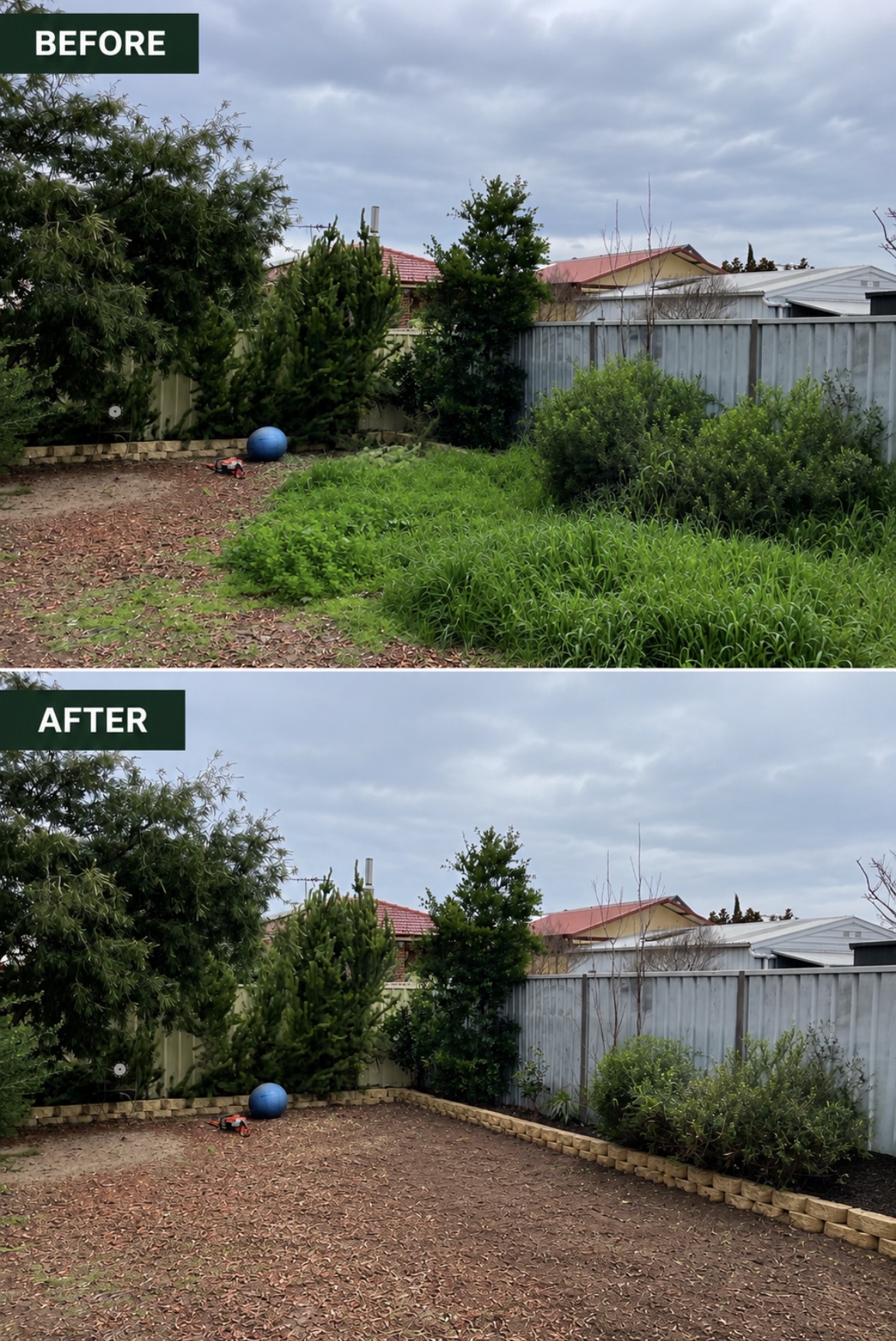 Before and after: Overgrown backyard clearance & tidy in Glandore, SA