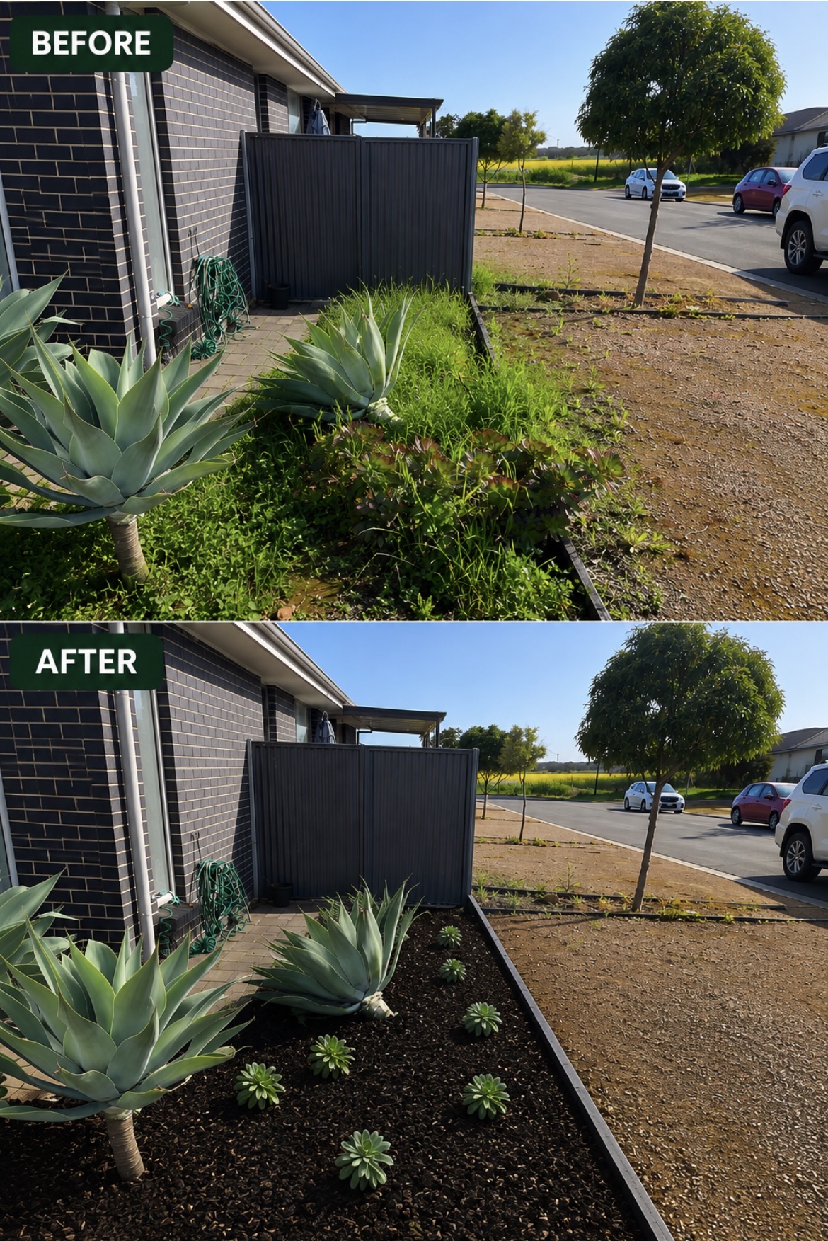 Before and after: Agave garden bed clean-up & mulch in Blakeview, SA