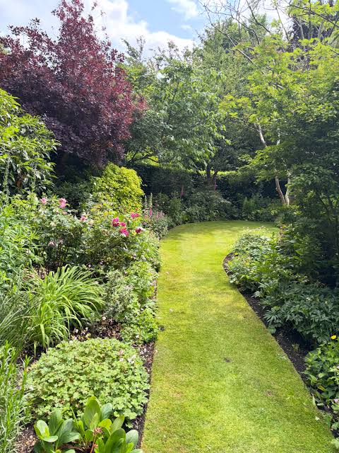 Lush Adelaide garden with a manicured lawn path winding through flowering borders