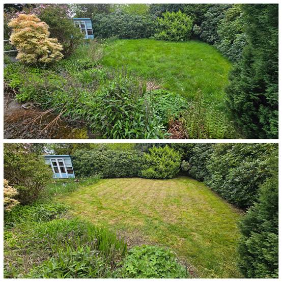 Before and after: Garden clean-up & mow in Greenwith, SA