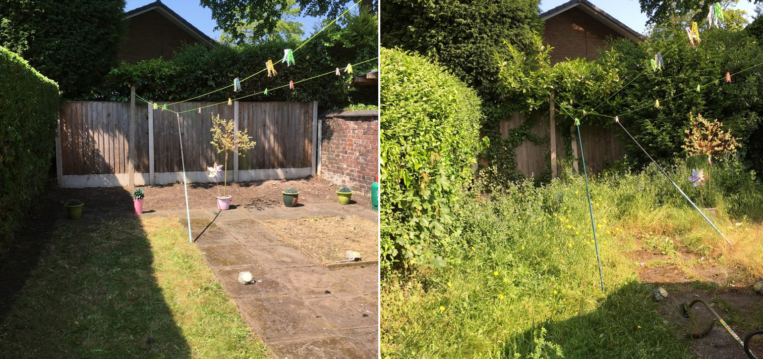 Hedge reshaping before Urban Leaf Gardens work