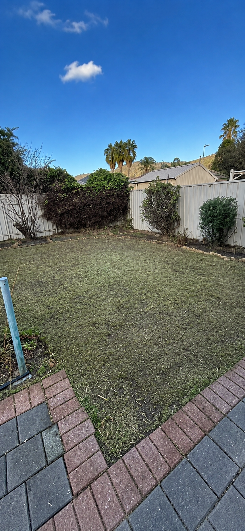After: overgrown backyard mowed and cleared in Athelstone, Adelaide