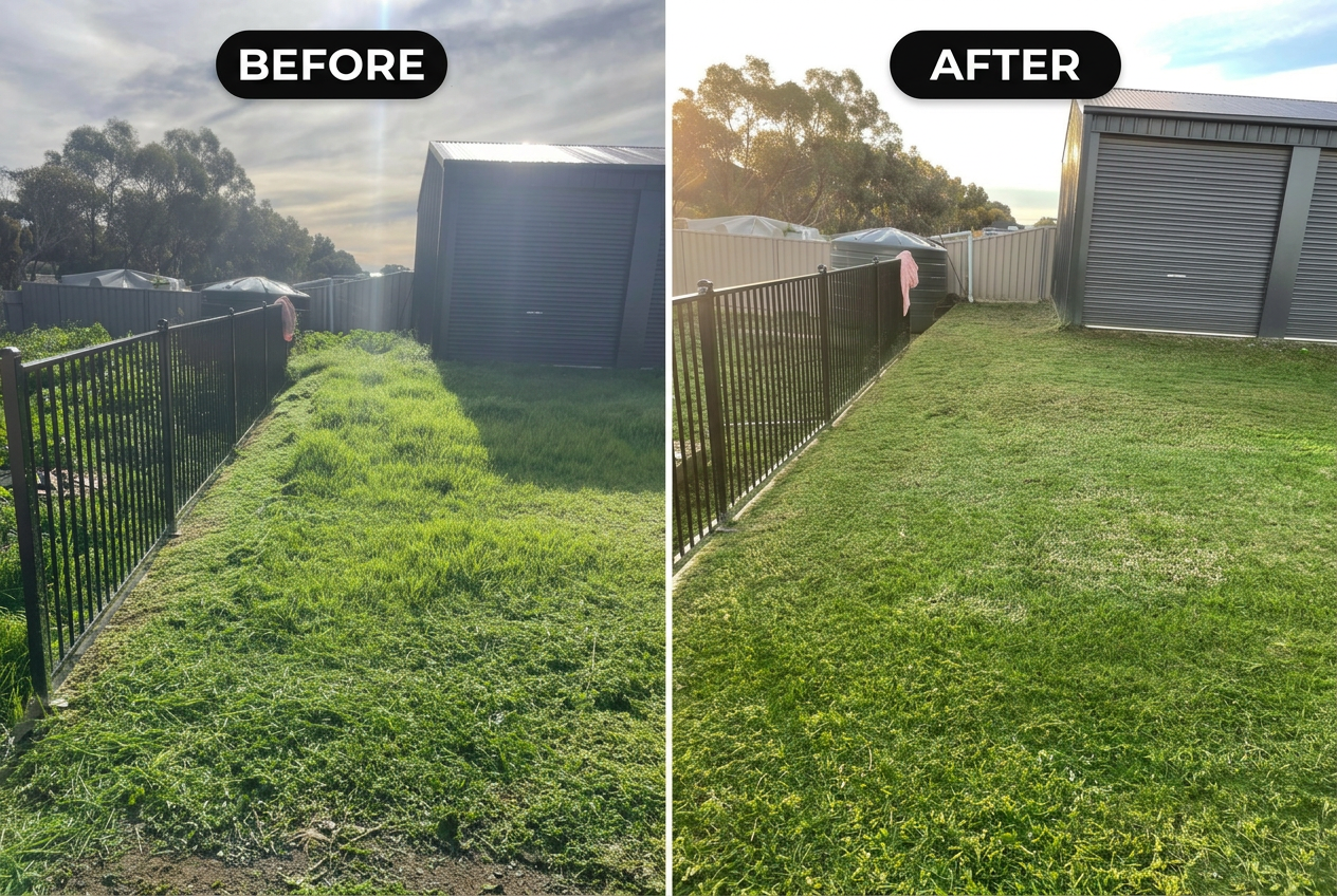 Before and after: Side yard lawn mow & green waste removal in Munno Para, SA