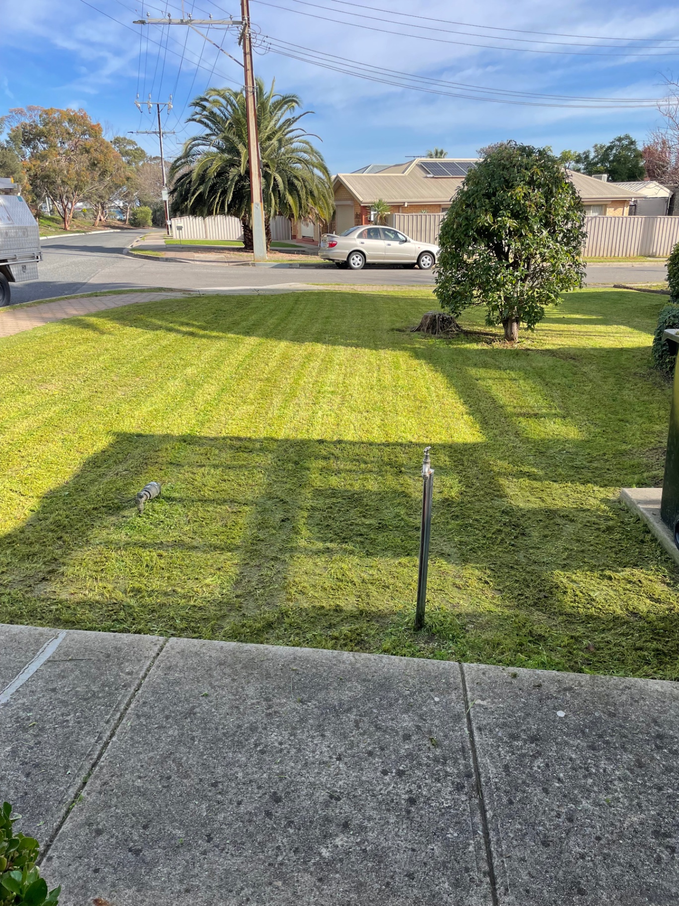 A freshly mown front lawn with crisp mowing stripes on an Adelaide street